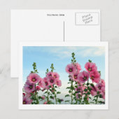 Hollyhocks: Japan Briefkaart (Voorkant / Achterkant)