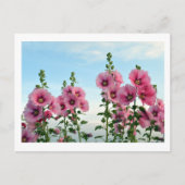 Hollyhocks: Japan Briefkaart (Voorkant)