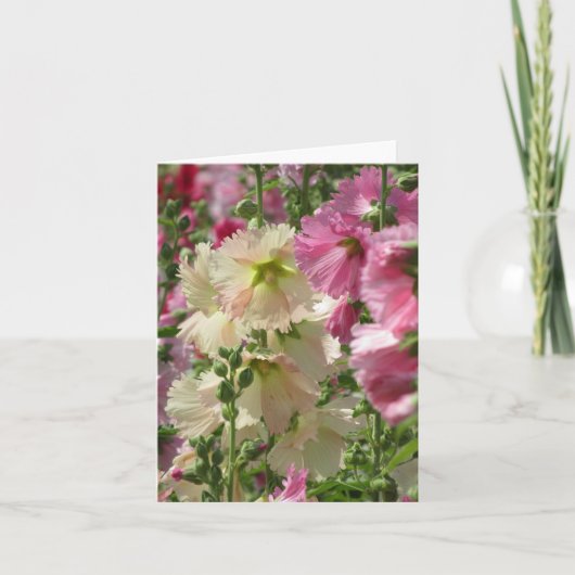 Hollyhocks: Japan Kaart (Voorkant)