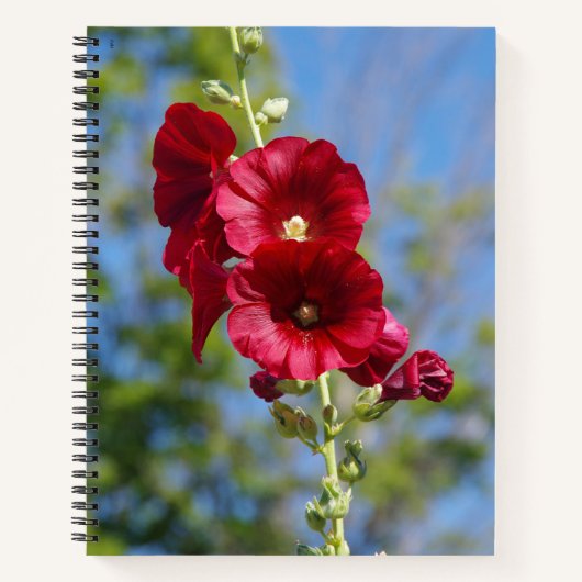 Hollyhocks notitieboek (Voorkant)