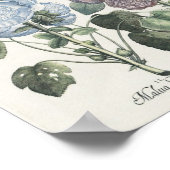 Hollyhocks Poster (Hoek)