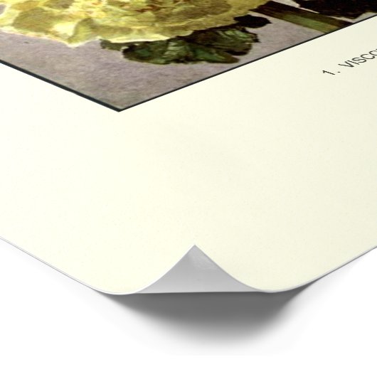 Hollyhocks Poster (Hoek)