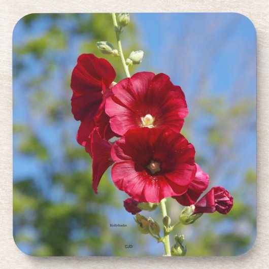 Hollyhocks set van 6 plastic onderzetters (Voorkant)
