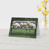 Holly's Half Dozen fotokaart Kaart (Gele Bloem)