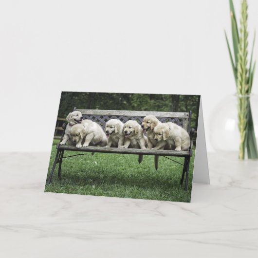 Holly's Half Dozen fotokaart Kaart (Voorkant)