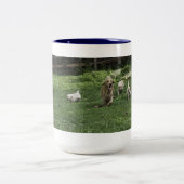 Holly's Half Dozen Ram mok (Center)