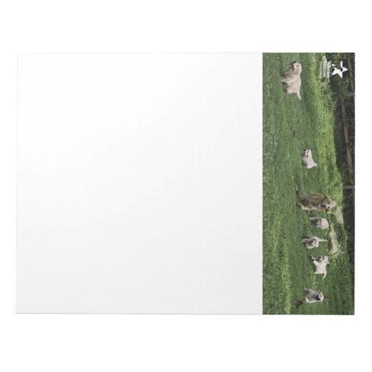 Holly's Half Dozen Ram notitieblok (Voorkant)