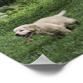 Holly's halve Dozen Romp Poster (Hoek)