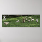 Holly's halve Dozen Romp Poster (Voorkant)