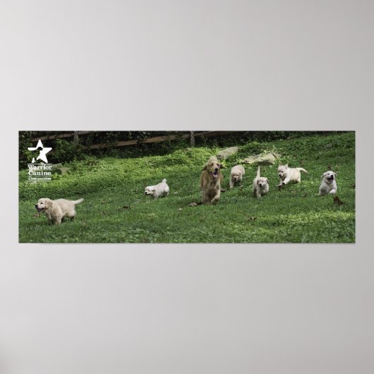 Holly's halve Dozen Romp Poster (Voorkant)