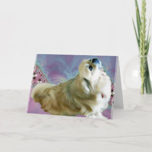 Hollywobble Wenskaart Kaart