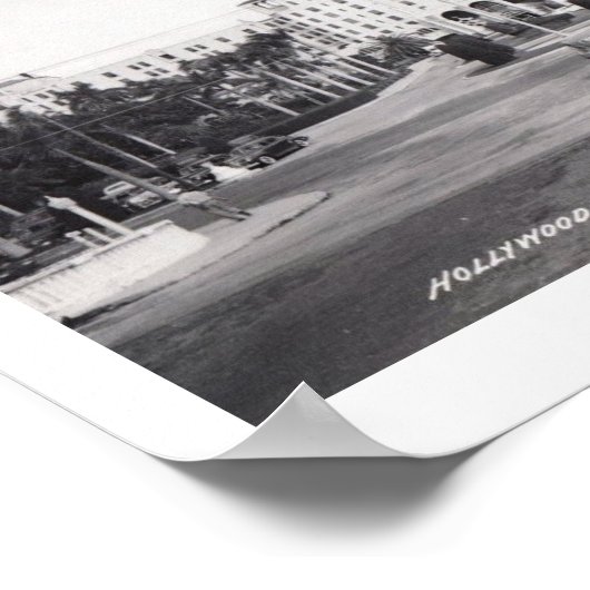 Hollywood Beach Hotel, Florida  Poster (Hoek)