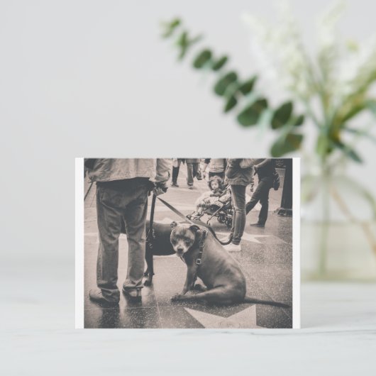 Hollywood Blvd Briefkaart (Staand voorkant)