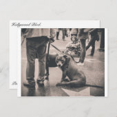 Hollywood Blvd Briefkaart (Voorkant / Achterkant)