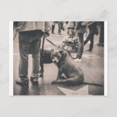 Hollywood Blvd Briefkaart (Voorkant)