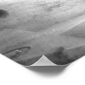 Hollywood Boulevard Poster (Hoek)