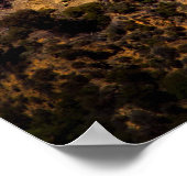 Hollywood California Poster (Hoek)