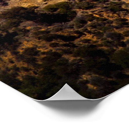 Hollywood California Poster (Hoek)