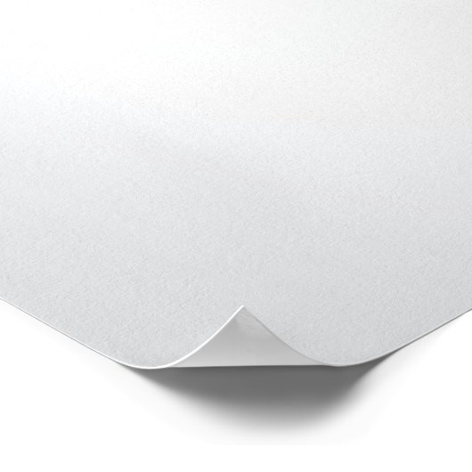  Hollywood Camera Poster (Hoek)