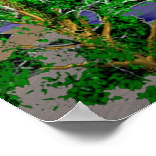 Hollywood, Fl Poster (Hoek)