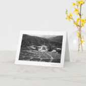 Hollywood, het Uitzicht van de Kom van Californië Kaart (Gele Bloem)