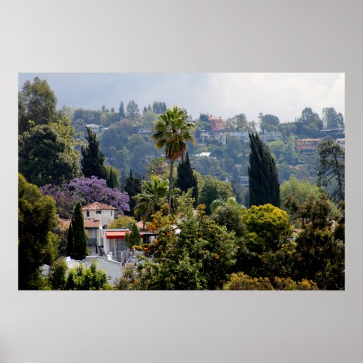 Hollywood Hills, California Poster (Voorkant)