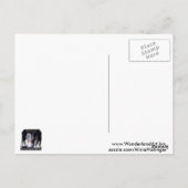 Hollywood Nights Briefkaart (Achterkant)