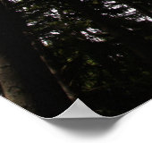 Hollywood Poster (Hoek)