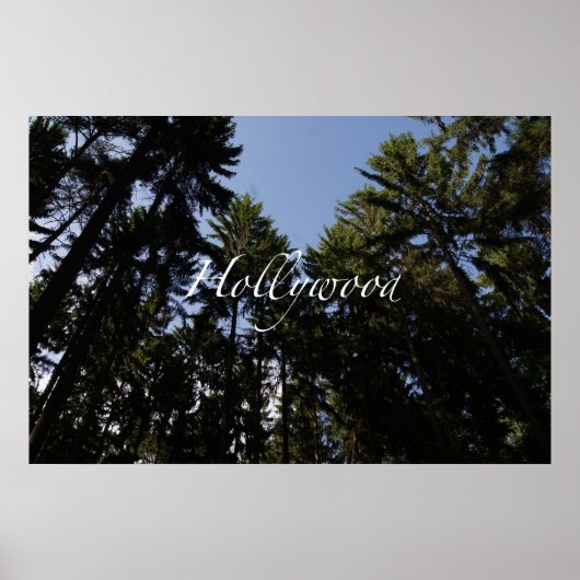 Hollywood Poster (Voorkant)