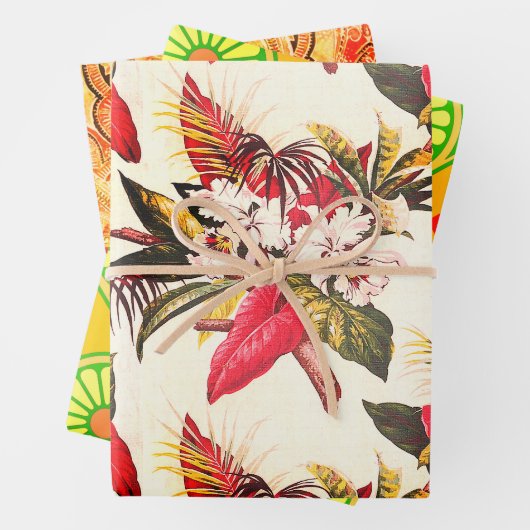 Hollywood Tropic, Bruxelles Abriot en Thebes Inpakpapier Vel (In situ)