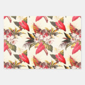 Hollywood Tropic, Bruxelles Abriot en Thebes Inpakpapier Vel (Voorkant)