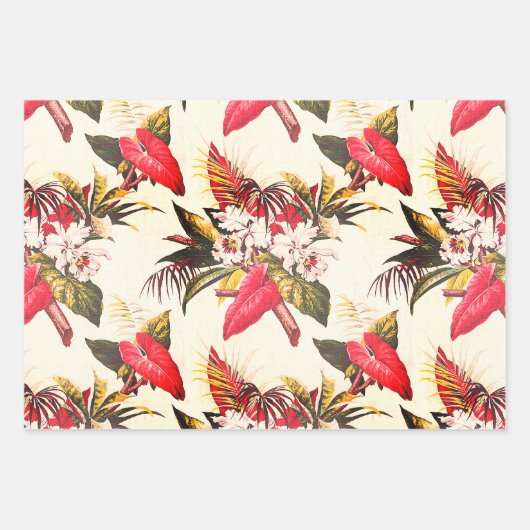 Hollywood Tropic, Bruxelles Abriot en Thebes Inpakpapier Vel (Voorkant)