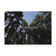 Hollywood - Wenskaart