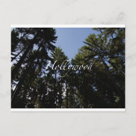 Hollywood - Wenskaart Briefkaart