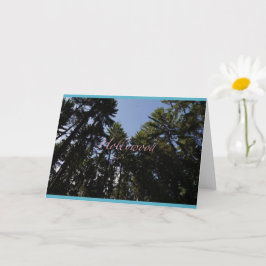 Hollywood - Wenskaart - Karte Kaart