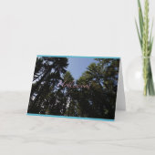 Hollywood - Wenskaart - Karte Kaart (Voorkant)