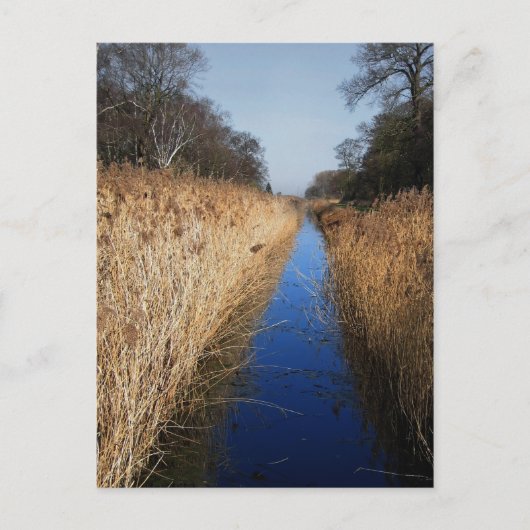 Holme Fen Dyke Briefkaart (Voorkant)