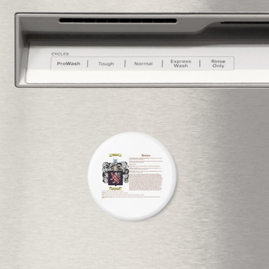 Holmes (engels(betekenis)) magneet (Insitu (Vaatwasser))