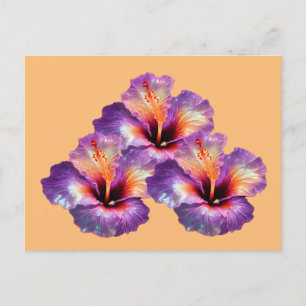 Holografische iriserende hibiscusbloemen briefkaart