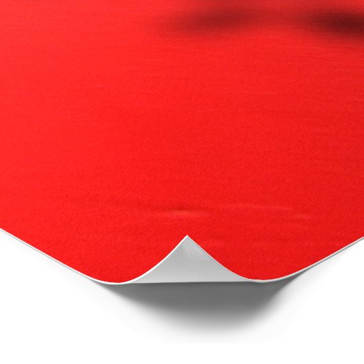 hologram roze v2 kopie poster (Hoek)