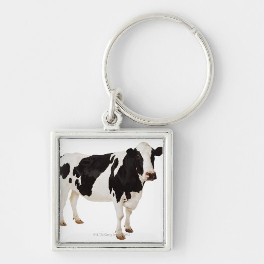 Holstein (Bos taurus) Sleutelhanger (Voorkant)