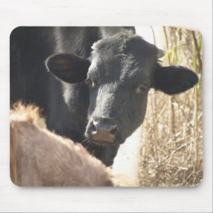 Holstein Bull Mousepad Muismat