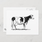 Holstein Cow Briefkaart (Voorkant / Achterkant)