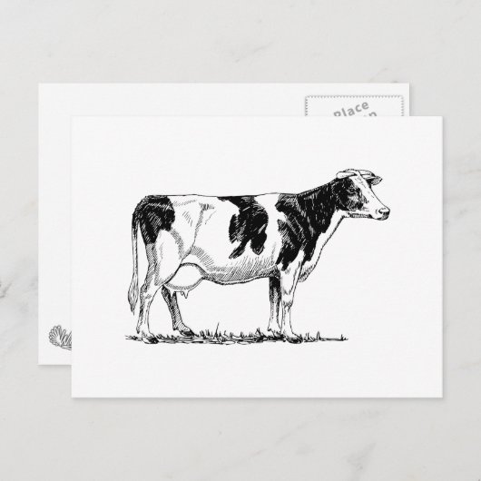 Holstein Cow Briefkaart (Voorkant / Achterkant)