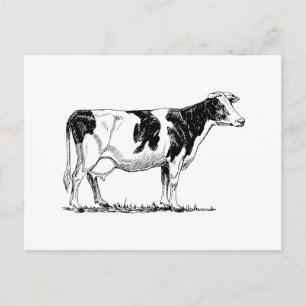 Holstein Cow Briefkaart