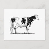Holstein Cow Briefkaart (Voorkant)