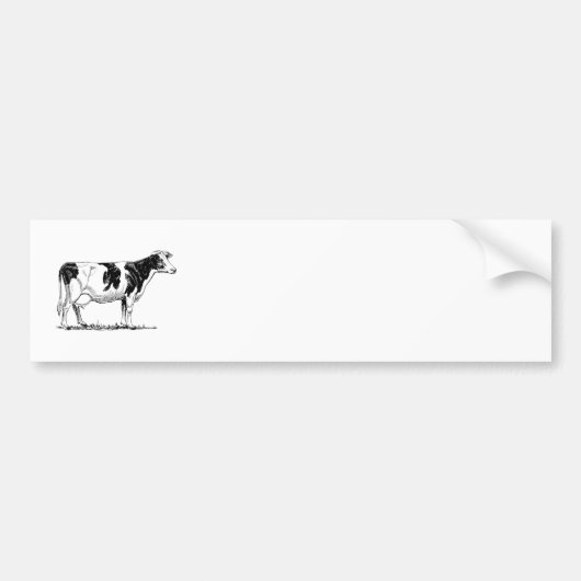 Holstein Cow Bumpersticker (Voorkant)
