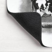 Holstein Cow Grazing: Realism Pencil Drawing Muismat (Hoek)