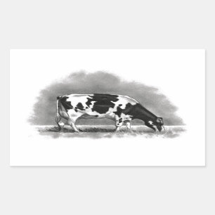 Holstein Cow Grazing: Realism Pencil Drawing Rechthoekige Sticker