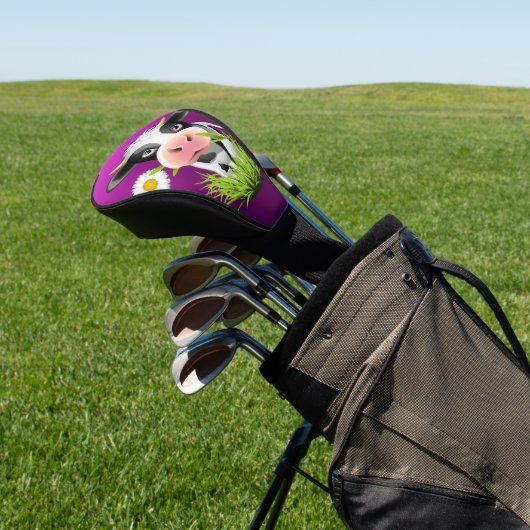 Holstein cow in grass over purple golfheadcover (Insitu)